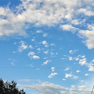 Meet your Posher, Priyanka